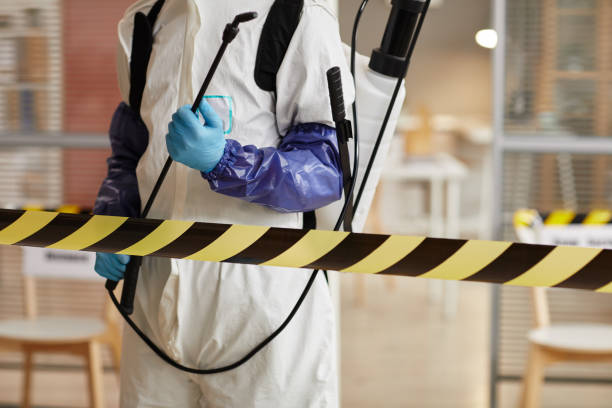 Professional Sewage Cleanup technician working in Battle Creek, NE